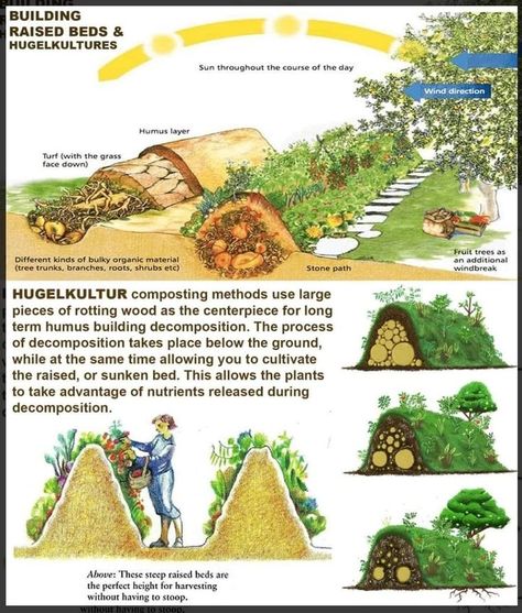 Raised Beds Vegetable Garden, Build A Garden, Building Raised Beds, Desain Buklet, Permaculture Gardening, Home Vegetable Garden, Tile Shower Ideas, Earthship, Vegetable Garden Design