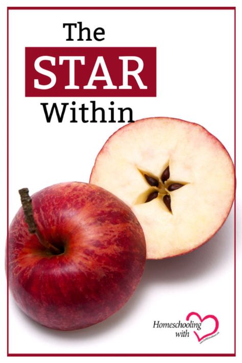 Learn about Johnny Appleseed while you  serve apple slices for your snack. If you cut the apple across the middle (left to right instead of top to bottom), there is a surprise! God hid a star in the middle of every apple! #Homeschooling #HomeschoolIdeas #HomeschooledKids #JohnnyAppleseed Apple Devotional, Apple Snacks For Johnny Appleseed Day, Johnny Appleseed Day, Homeschool Reading Curriculum, Apple Star, Kids Night Out, Harvest Crafts, Apple Lessons, Apple Snacks