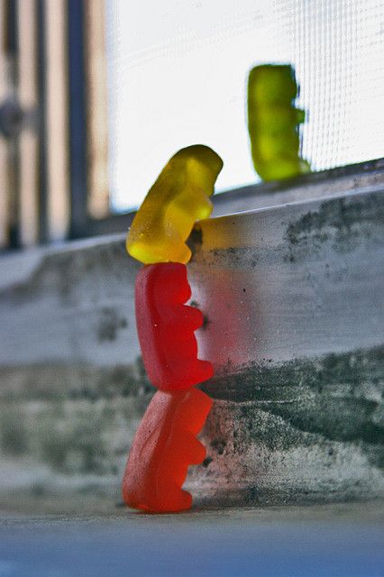 Haribo Gummy Bears, Candy Photography, Gummy Candies, Gummi Bears, Bear Photos, Internship Program, Food Wallpaper, Palm Fronds, Sweet Escape