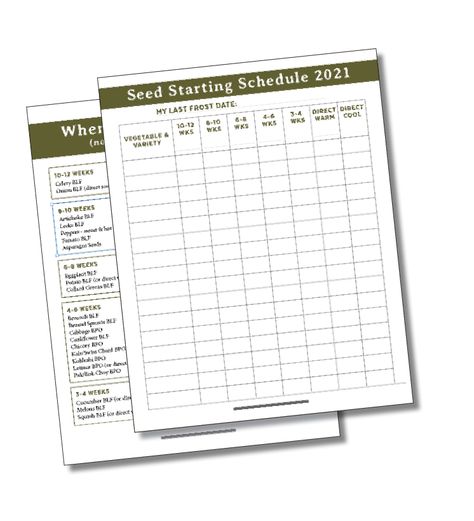 DIY Seed Organization & My Free Seed Starting Schedule Printable - Sage & Shepherd Blog Seed Planting Calendar, Seed Starting Schedule, Seed Starting Chart, Seed Organization, Seed Starting Calendar, Planting Calendar, Vegetable Garden For Beginners, Vegetable Garden Diy, Schedule Printable