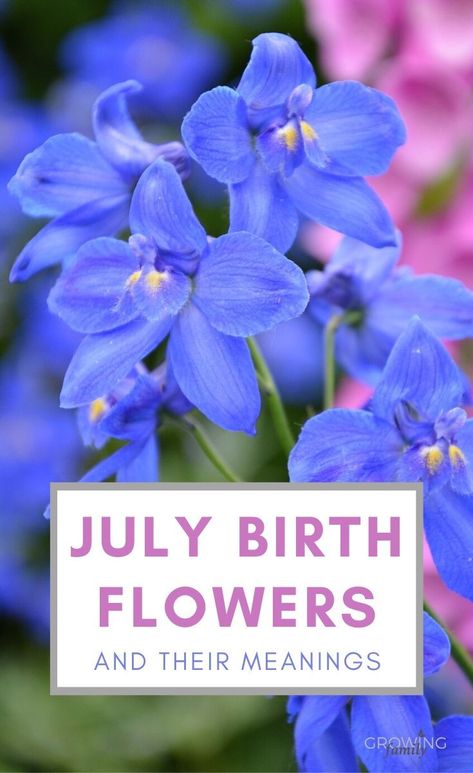 Birth Flower For July, Flower For July, Birthday Month Flowers, July Birth Flower, July Flowers, Flower Wrist Tattoos, Rosé Birthday, Birth Flower Tattoos, Flower Gift Ideas