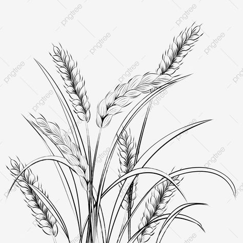 Wheat Drawing, Rain Drawing, Drawing Rain, Wheat Tattoo, Pasta Food Recipes, Recipes Chili, Ear Seeds, Wing Drawing, Best Food Recipes