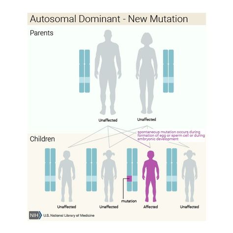 Hereditary spherocytosis: MedlinePlus Genetics Hereditary Spherocytosis, Digeorge Syndrome, Abdominal Aorta, Embryonic Development, Failure To Thrive, X Chromosome, Muscle Twitching, Scientific Articles, Muscle Weakness