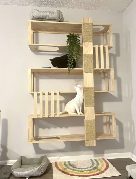 Cat Wall Gym, Diy Cat Climbing Wall, Cat Wall Furniture Diy, Wood Projects With Plans, Diy Cat Wall Shelves, Cat Walls, Diy Cat Shelves, Cat Place, Diy Cat Tower