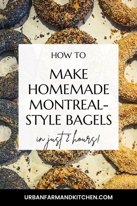 How to make Montreal style bagels at home. Montreal Bagels, Montreal Style, New York Bagels, Bagel Recipe Easy, Bagel Toppings, New York Bagel, Chia Seed Recipes, Healthy Food Guide, Homemade Bagels