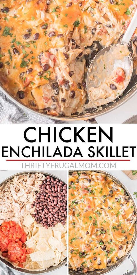 Easy Fast Healthy Dinner Recipes, Enchilada Skillet Recipe, Sour Cream Chicken Enchilada Recipe, Chicken Enchilada Skillet, Enchilada Skillet, Sour Cream Enchiladas, Easy Skillet Chicken, Enchilada Ingredients, Cream Chicken