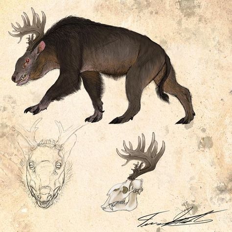 Terryl Whitlatch, Creature Anatomy, Write A Short Story, Different Animals, Creatures Art, Anatomy Study, A Short Story, Wildlife Artists, Fantasy Creatures Art