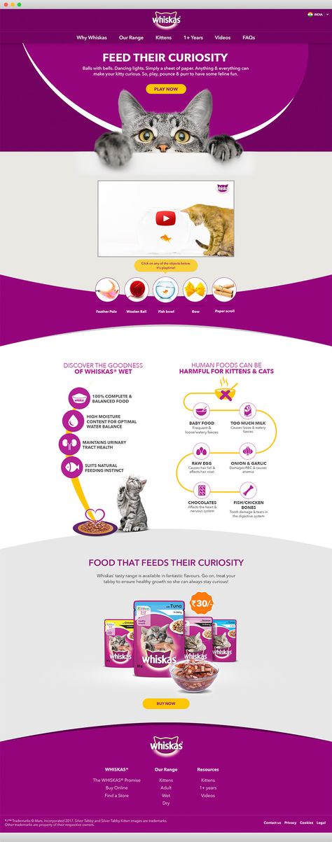 Whiskas Curiosity - Campaign Microsite Microsite Design, Royal Canin, Year 3, Best Web Design, Event Page, Responsive Website, Web Templates, Ux Web Design, Web App Design