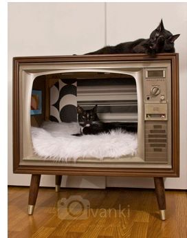 vintage TV DIY cat bed Katt Diy, Cat House Plans, Katt Grejer, Diy Cat Bed, Kat Diy, Chat Diy, Television Set, Pet Ideas, Vintage Tv