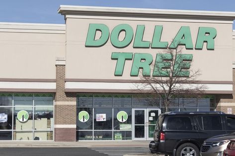 Dumpster diver shares shocking photo of Dollar Tree trash overflowing with discarded food: ‘It’s always a shame’ — The Cool Down Dumpster Diver, Dumpster Diving, All 50 States, 50 States, The Cool, Dollar Tree, Diver, The Incredibles