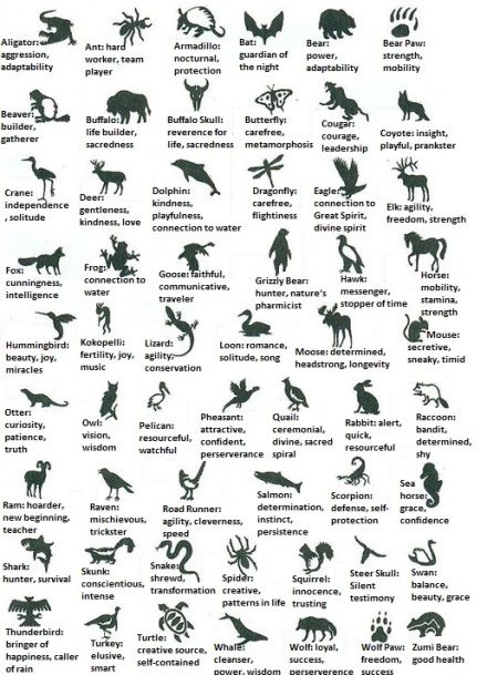 Native American Animal Symbols, Native American Knowledge, Native American Zodiac, Native American Mythology, Native American Animals, Indian Symbols, Native American Totem, Animal Meanings, Native American Spirituality