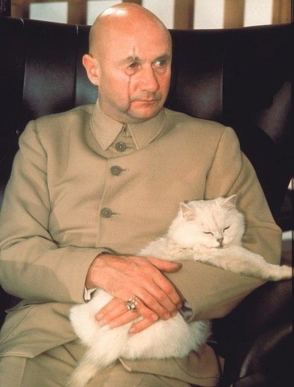 Dr. Blofeld Bond Villains, Donald Pleasence, Photos On Film, Movie Villains, Evil Geniuses, Australia Animals, 007 James Bond, Bond James Bond, Bond Girls