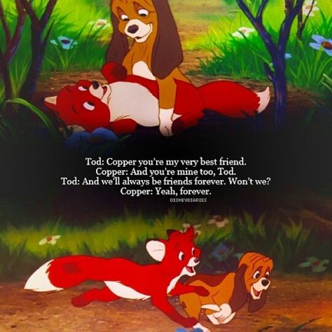 The Fox and the Hound. Fox And The Hound Quotes, Disney Character Quotes, Disney Characters Quotes, Fox And Hound, Robin Hood 1973, Disney Robin Hood, Disney 100th Anniversary, Quotes For Wall, Dream Dark