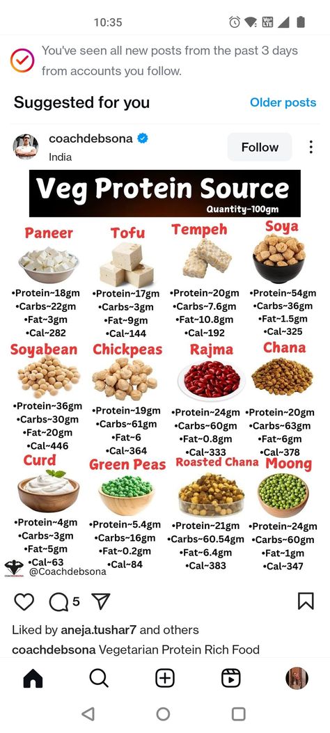 Protein Foods Indian, Proteins Chart, Food Rich In Protein, Protein Rich Foods Vegetarian Indian, Veg Protein Sources, Healthy Food Routine, Protein Food Chart, Protein Rich Food, Balanced Diet Chart