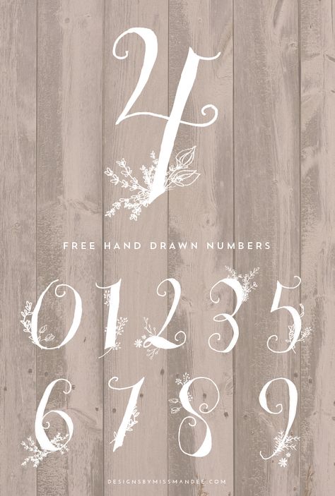 Stunning Hand Drawn Numbers - Designs By Miss Mandee Best Number Fonts, Nightmare Before Christmas Font, Christmas Fonts Alphabet, Christmas Fonts Free, Number Fonts, Holiday Fonts, Number Art, Doodle Fonts, Number Design