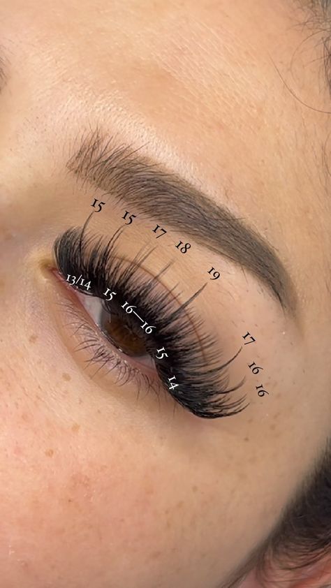 Dramatic Lash Extensions Map, Wispy Russian Lashes, Anime Lash Extensions Mapping, Wispy Cat Eye Lash Extensions Map, Wispy Volume Lash Extensions Map, Wispy Eyelash Extensions Map, Volume Lash Extensions Mapping, Doll Eye Volume Lash Extensions, Eyelash Map