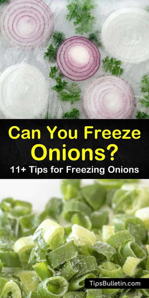 Learning how to freeze onions and peppers will save you time during meal prep. Onions and peppers can be frozen whole or in slices, allowing you to freeze exact portion sizes for future recipes. #freezingonions #freezeonions #onionsinfreezer Can Onions, Freeze Onions, Freezing Onions, Freezing Food Guide, Onion Benefits Health, Freezing Peppers, Freezing Vegetables, Freezing Fruit, Freeze Greens