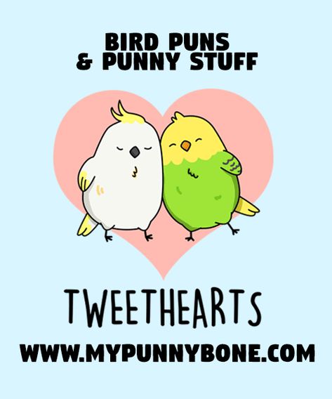 80+ Bird Puns And Punny Stuff – MyPunnyBone Valentines Rhymes, Thank You Puns, Names Of Birds, Bird Puns, Fruit Puns, Valentines Puns, Mocking Birds, Happy Owl, Bird Quotes