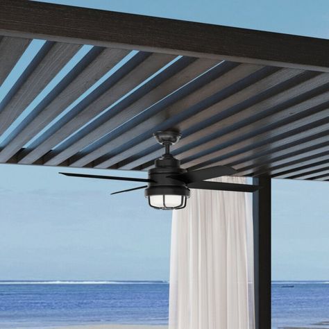 Hunter Fan 54'' Searow 4 - Blade Outdoor LED Standard Ceiling Fan with Wall Control and Light Kit Included & Reviews | Wayfair Bamboo Ceiling, Porch Lights, Hunter Ceiling Fans, Black Hunter, Pool Cabana, Best Ceiling Fans, Salt Air, Backyard Remodel, Outdoor Fan