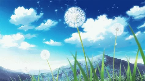 Anime Sky GIF - Anime Sky Dandelion - Discover & Share GIFs Gif Background, Sky Gif, Sky Anime, Anime Gifs, Anime Gifts, Aesthetic Gif, Back To Nature, Anime Scenery Wallpaper, Art Anime