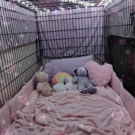 (not my photo) Puppy Gf, Puppy Space, Puppy Cage, Pup Play, Dog Oc, Heads Or Tails, Pet Regression, Puppy Room, Puppy Girl