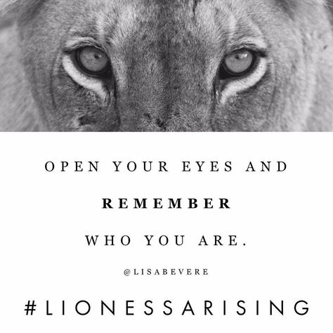 You are a golden bearer of light who has the power to dispel darkness wherever you go. “...the Spirit in you is far stronger than anything in the world” — 1 John 4:4 MSG #LionessArising Lioness Arising Quotes, Lioness Quotes Woman, Fierce Lioness Tattoo For Women, Lioness Quotes Woman Strength, Lioness Tattoo For Women, Lioness Arising, Warrior Mentality, Lioness Quotes, Leo Relationship