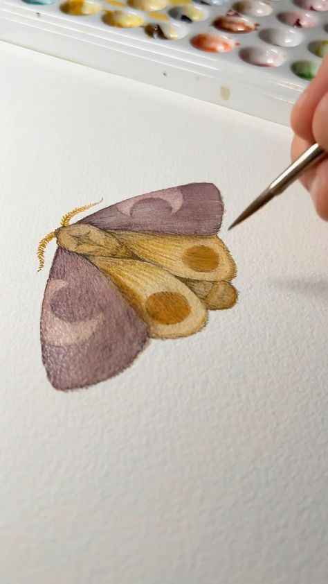 Moth Pottery Painting, Easy Moth Painting, Luna Moth Watercolor, Moth Watercolor Painting, Easy Moth Drawing, Watercolor Bugs Insects, Hippie Watercolor Painting, How To Draw A Moth, Watercolor Pens Art