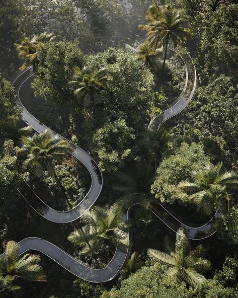 iryna nalyvaiko imagines glass footbridge to celebrate its jungle context Forest Architecture, 3dsmax Vray, Nature 3d, Sky Walk, Jungle Forest, Path Ideas, Mangrove Forest, House Luxury, Chinese Garden