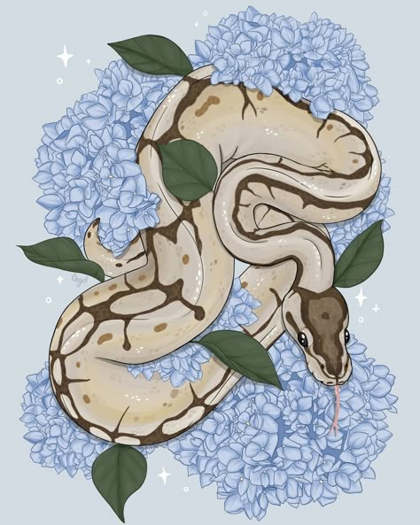 Snek Tattoo, Ball Python Art, Python Drawing, Albino Ball Python, Reptile Art, Cute Snakes, Snake Drawing, Snake Wallpaper, Cute Cat Memes