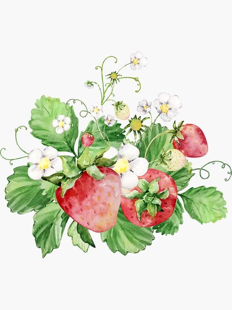 Watercolor strawberry #watercolor #strawberry Painted Strawberries, Strawberry Bush, Watercolor Strawberries, 2024 Bujo, Strawberry Sticker, Watercolor Strawberry, Strawberry Watercolor, Strawberry Flower, Strawberry Picking