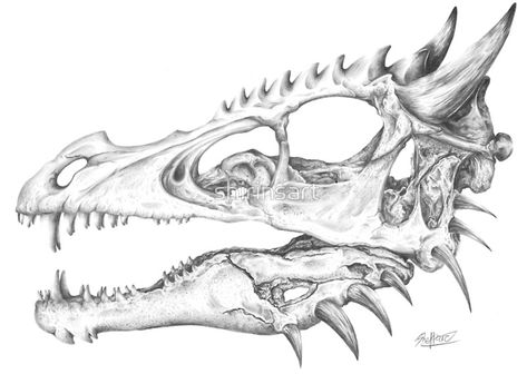 Realistic illustration of a dragon skull. Heavily based on velociraptor skulls. Graphite drawing originally done on Bristol Board. Available in my redbubble shop! T Rex Skull Tattoo, Fossil Tattoo, T Rex Skull, Dinosaur Skull, Dinosaur Sketch, Life Study, Dinosaur Tattoos, Dinosaur Drawing, Skulls Drawing