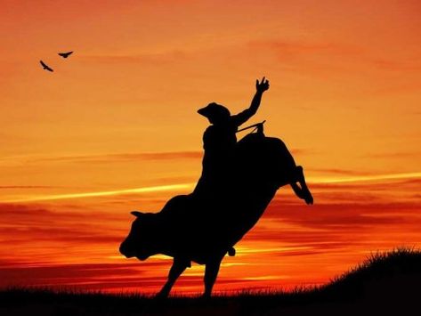 Riding Into The Sunset Quotes by @quotesgram Bull Riding Quotes, Riding Into The Sunset, Rider Quotes, Disney Minimalist, Foto Cowgirl, Country Backgrounds, Riding Quotes, Rodeo Cowboys, Quotes Tumblr