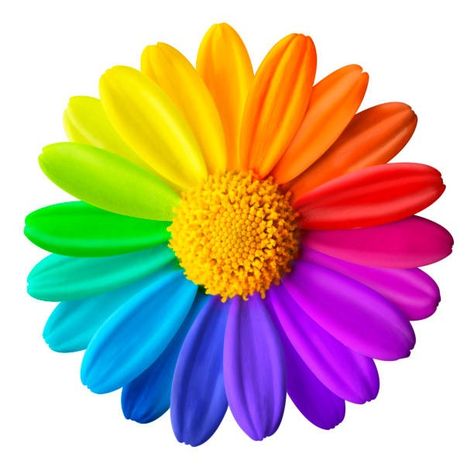 Color Wheel Projects, Blue Wedding Gowns, Stim Board, Rainbow Images, Flower Png Images, Flower Sheets, Colourful Flowers, Rainbow Flower, Power Colors