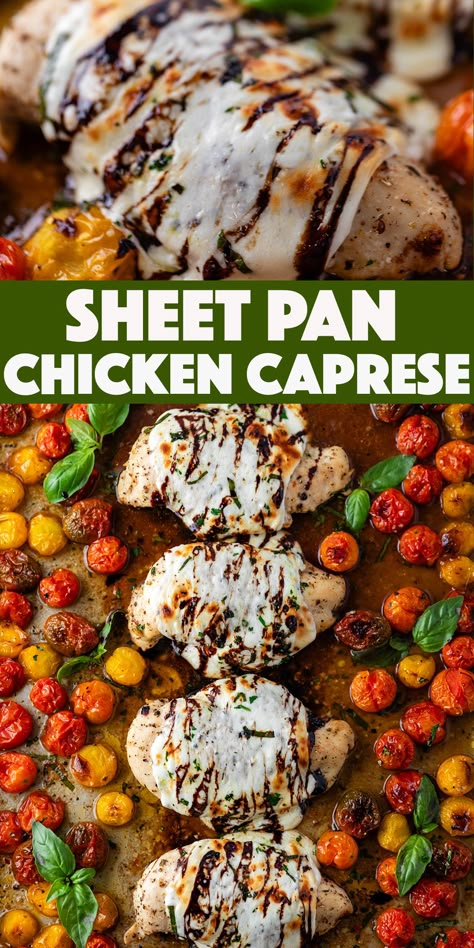 Fresh Mozzarella Chicken Recipe, Fresh Mozzarella And Chicken Recipe, Summer Sheet Pan Dinner Ideas, Chicken Recipes Sheet Pan, Catering Meals, Healing Meals, Pan Dishes, Chicken Caprese, Chicken Fresh