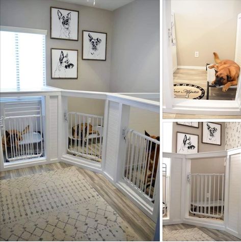 Built in dog crate Built In Dog Kennel, Built In Dog Crate, Diy Dog Room, Kennel Room, Indoor Dog Room, Dog Daycare Design, Dog Room Design, Dog Breeding Kennels, Dog Daycare Business