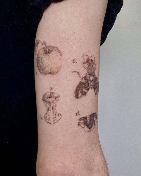 RK | 태연 on Instagram: "For Mac. He has been studying the species of apple maggots for the past 10 years of his PhD. A tribute to his studies: a vintage inspired diagram." Maggot Tattoo, Paw Print Tattoo, Skull Tattoo, Vintage Inspired, The Past, Mac, Tattoos, 10 Things, On Instagram