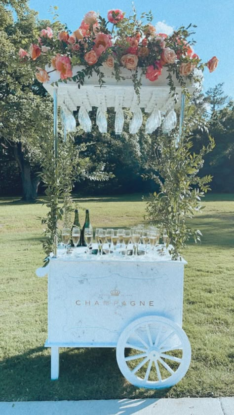 Champagne Cart, Prosecco Van, Neutral Wedding Decor, Prosecco Bar, 30th Birthday Themes, Wedding Snacks, Wedding Bubbles, Picnic Decorations