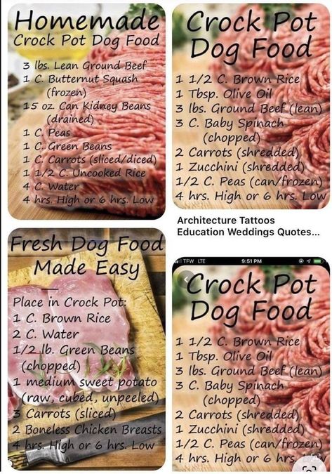 Homemade Ground Beef Dog Food Recipes, Slow Cooker Dog Food Recipes, Food Ideas List, Crock Pot Dog Food, Dog Food Ideas, Dog Food Homemade, Dog Food Recipes Crockpot, Dog Food Treats, Lou Dog