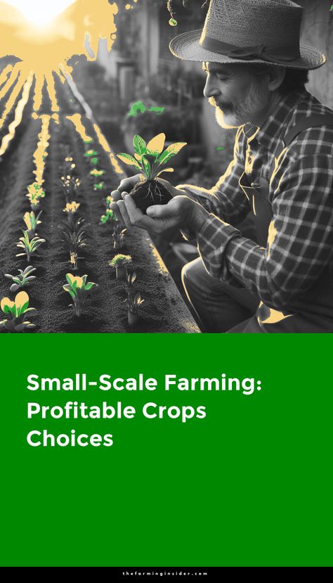 In the realm of small-scale farming, the decision of which crops to cultivate can significantly impact the financial success and long-term viability of the operation. Unlike large commercial farms with vast resources and economies of scale, small-scale farmers must carefully consider their crop choices to ensure profitability and sustainability.



The importance of selecting profitable crops cannot be overstated. Not only do they generate income for the farmer, but they also contribute to the overall economic resilience of the farm. By focusing on crops that command high market prices or have strong demand, small-scale farmers can maximize their returns on investment and mitigate risks associated with fluctuating market conditions or unpredictable weather . . . Small Scale Farming, Crop Farming, Economies Of Scale, Vertical Farming, Pig Farming, Crop Rotation, Generate Income, The Farmer, Sustainable Farming