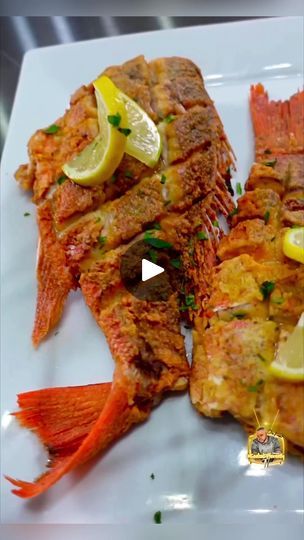 Steam Red Snapper Fish, Cooking Red Snapper Filets, Whole Red Snapper Recipes, Vermillion Snapper Recipes, Cooking Red Snapper, Fried Whole Fish, Red Snapper Ponchartrain, Red Snapper Recipes, Snapper Recipes