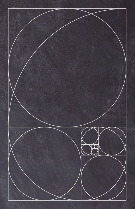 Fibonacci Golden Ratio Art, Fibonacci Aesthetic, Golden Ratio Illustration, Fibonacci Design, Golden Ratio Design, Fibonacci Spiral Art, Golden Ratio Art, Fibonacci Art, Golden Ratio In Design