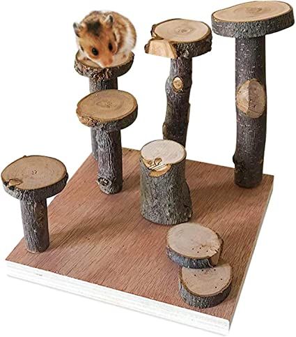 Amazon.com : Hamster Climbing Wooden Stand Platform, Pet Cage Playground Natural Wood Chew Toys for Dwarf Hamsters, Syrians Hamster, Gerbil, Mouse, Rat : Pet Supplies Kandang Hamster, Diy Hamster Toys, Hamster Platform, Rat Cage Accessories, Playground Activities, Mouse Cage, Hamster Accessories, Hamster Diy, Hamster Care