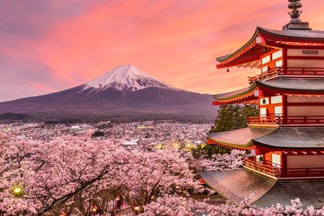 The Best Places to See Cherry Blossoms in Japan , https://sharethelinks.com/the-best-places-to-see-cherry-blossoms-in-japan/, #Asia #cherryblossoms #japan #thingstodo #travel #travelblogs Check more at https://sharethelinks.com/the-best-places-to-see-cherry-blossoms-in-japan/ Fujiyoshida Japan, Mount Fuji Painting, Fuji Painting, Chureito Pagoda, Medieval Japanese, Japanese Cherry Tree, Masterpieces Painting, Cherry Blossom Japan, Asian Landscape