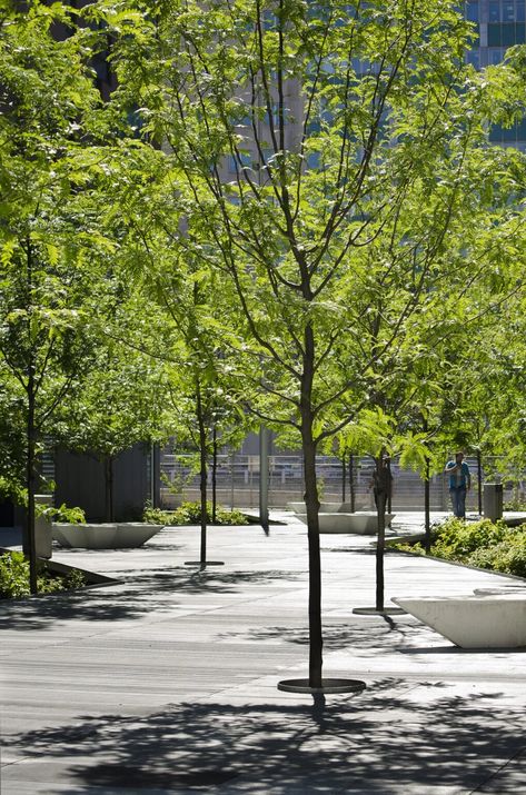 Parc Hydro-Québec – CCxA Public Garden Design, Urban Plaza, Street Scape, Tree Grate, Tree Grove, Urban Tree, Pocket Park, Urban Landscape Design, Public Space Design