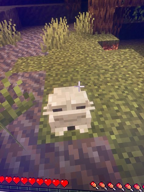 #frog #minecraft Frog Minecraft, Minecraft Frog, Guinea Pigs, Pigs, Minecraft, Quick Saves