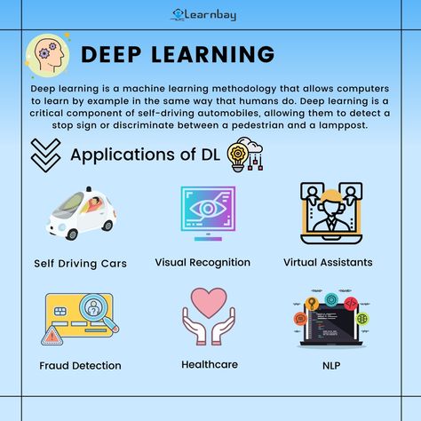 Deep Learning Algorithm, Entrepreneur Infographic, Machine Learning Deep Learning, Data Science Learning, Learn Computer, Learn Computer Coding, Science Learning, Computer Coding, Computer Engineering