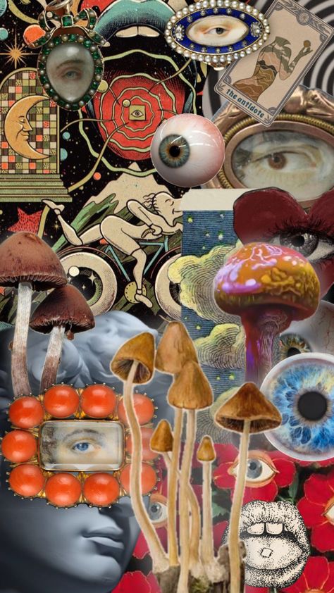 shrooms & things🍄🍄 #weirdcore #mushroom #mushrooms #mushroomcore #trippycore #trippy #trip #trippyaesthetic #vibes #eye #eyes #eyesaesthetic #surrealism #trippyart Shrooms Aesthetic, Mushroom Trip, Aesthetic Instagram Accounts, Mushroom Core, Surreal Collage Art, Trippy Aesthetic, Chair Art, Mushroom Wallpaper, Vision Board Images