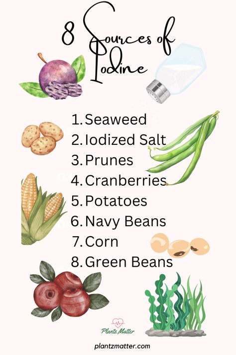 Infographic, top plant-based iodine sources to support your thyroid and overall health. Seaweed stands out as a super source, with kelp, nori, and wakame offering rich amounts. Cranberries and strawberries are sweet picks for a boost, while potatoes, especially with the skin, are an easy addition to any meal. Incorporate these into your diet to ensure you're getting enough iodine, essential for metabolism and energy. Ideal for vegans and vegetarians looking for natural iodine options. Plant Healing, Iodine Rich Foods, Sources Of Iodine, Ayurveda Diet, Pretty Tips, Vegan Tips, Heal Thyself, Flexible Dieting, Vegan Meal