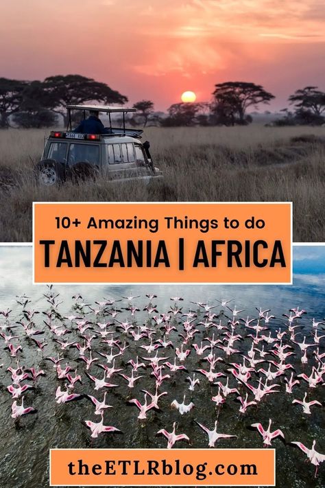 Amazing Thigngs to do in Tanzania Africa Itinerary, Africa Travel Guide, Travel Wishlist, Wildlife Safari, Big 5, Road Trip Hacks, Travel List, Once In A Lifetime, Africa Travel