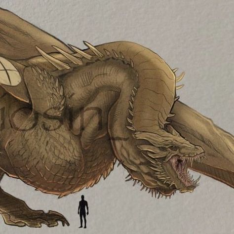 Vermithor Dragon, Game Of Thrones Artwork, Game Of Thrones Dragons, Got Dragons, Targaryen Art, Asoiaf Art, Dragon City, Dragon Sketch, Cool Dragons